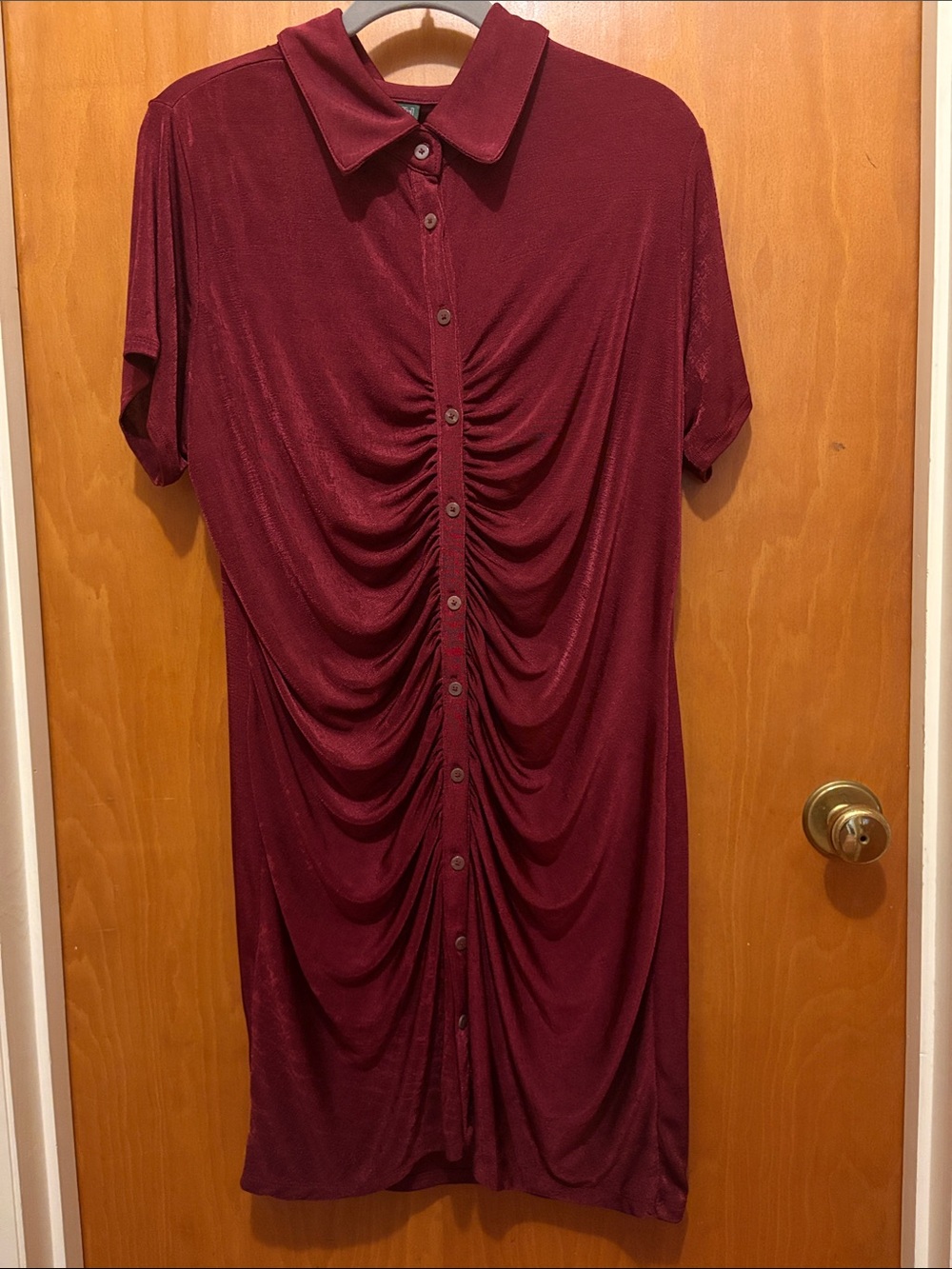 Wild Fable Ruched Button-Front Short Sleeve Dress in Wine